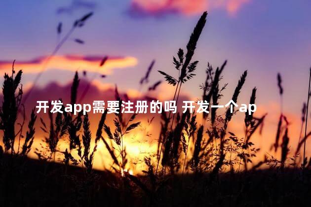 开发app需要注册的吗 开发一个app需要什么